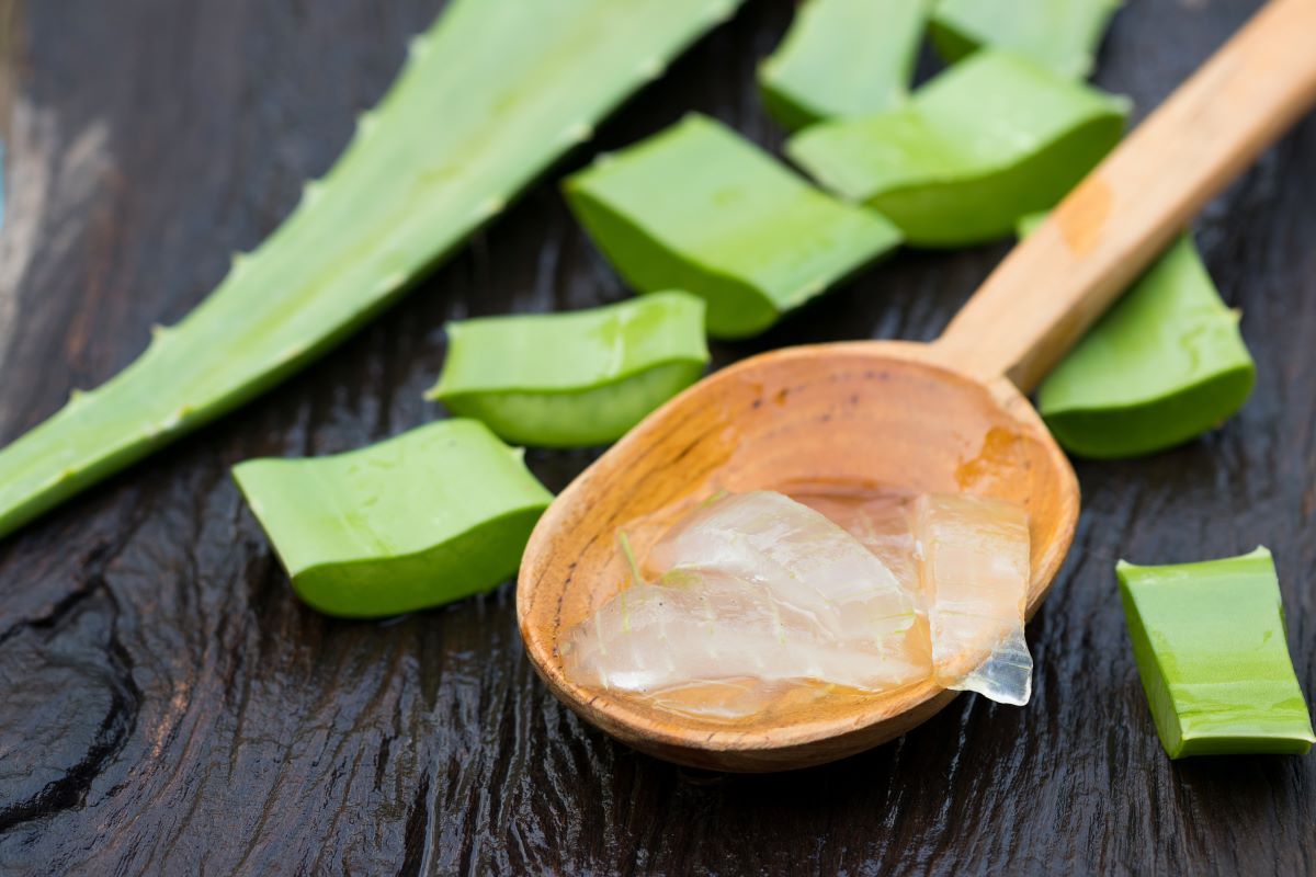 Aloe vera gel